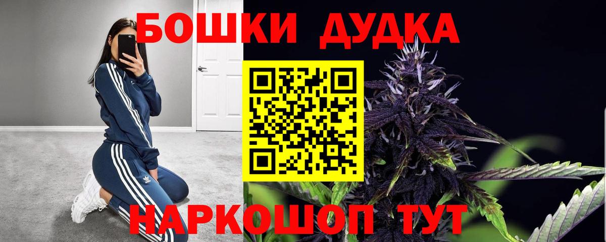 Конопля марихуана Сосновый Бор